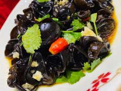 爽口木耳-易老妈蹄花.特色川菜(人民公园总店)