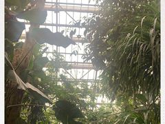 -南山植物园