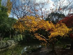 -秋霞圃
