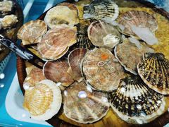 -港畔赶海蒸汽海鲜烧烤自助(仙螺岛店)