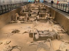 -洛阳周王城天子驾六博物馆