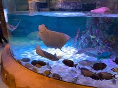 -沈阳海洋探索中心