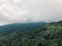 -苍山感通索道