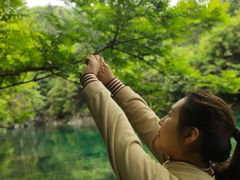 -石台牯牛降景区