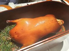-鹿园 MOOSE(长宁店)