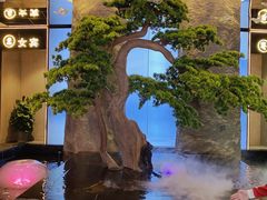 -御养源·影院式足道·按摩SPA·星级自助餐(青秀店)
