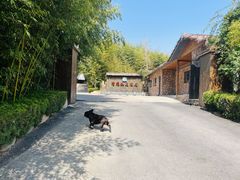 -清雅臻品·竹林院落·新派青岛菜(崂山店)