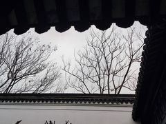 -绮园景区