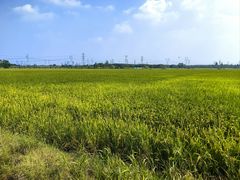 -嘉北郊野公园