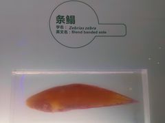 -青岛海底世界-水族馆