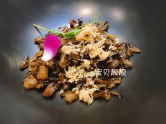 -诺莱仕游艇会