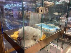 -FAELING PETS美天灵宠物(富力广场店)
