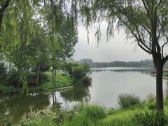 -东郊湿地公园