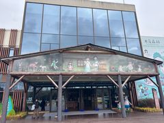 -黄海国家森林公园