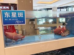-双井轩(双井店)
