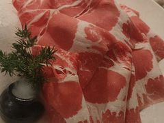 -九鼎轩脆毛肚火锅(三钢里店)