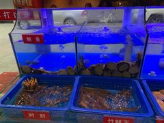 -小龍鳳·港式海鲜打边炉(沙湖路店)
