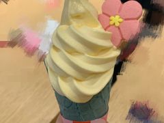 -麦当劳(SM城市广场店)