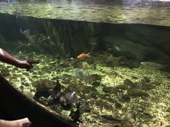-江和美海洋公园