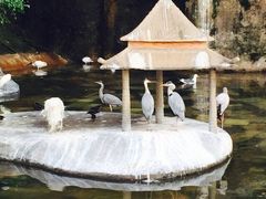 iphone_upload_pic-百鸟园