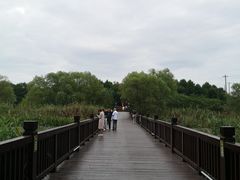 -苏州太湖国家湿地公园