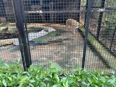 -海南热带野生动植物园