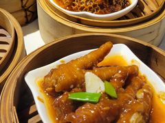 -点都德·毕德寮