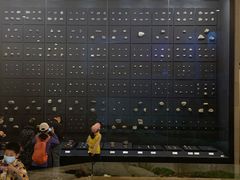 -北京周口店北京人遗址博物馆