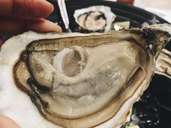 吉拉多生蚝-KAOTOWN烤堂•烧烤(海汇港店)