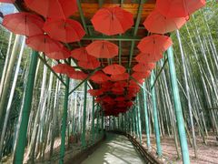 -陶祖圣境风景区