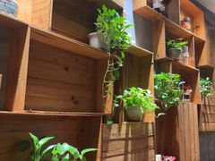 -比格比萨自助(花园路店)