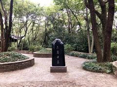 -上海佘山国家森林公园天马山园