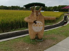 -嘉北郊野公园