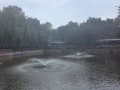 -尚庄度假村·庭台树下·户外烧烤·团建CS·轰趴营地(上庄水库店)