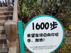 -大岭沟猕猴桃谷风景区