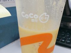 -CoCo都可(骆家庄新店)