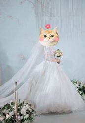 -Sunny喜铺婚礼定制·求婚策划