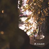 老板娘是多才多艺的专业咖啡师