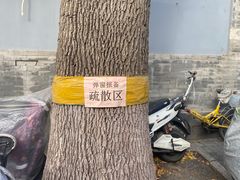 -南锣鼓巷
