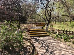 -长春世界雕塑园冰雪艺术天地