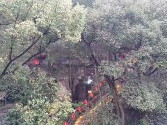 -巴倒烫陆派重庆火锅(南山店)