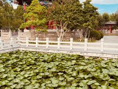 -济南大明湖景区