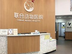 -联合动物医院(光谷诊疗中心)