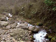 -西岭雪山大飞水景区