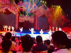 -珠海横琴长隆《卡卡虎奇遇记》