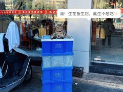 -官塘陈记鱼生·潮汕砂锅粥·牛肉火锅(潮枫路总店)