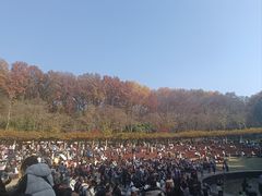 -耳域躺式采耳SPA馆(新街口店)