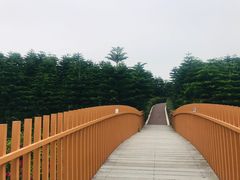 -迪茵湖田家舍生态农场
