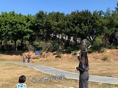 -风云岭森林公园