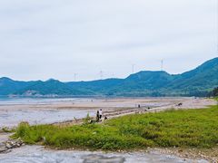 -北岐滩涂